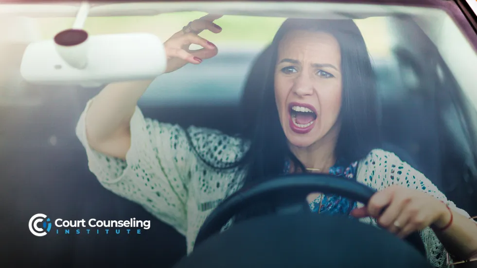 Road Rage Course: What You Need to Know Before It’s Too Late