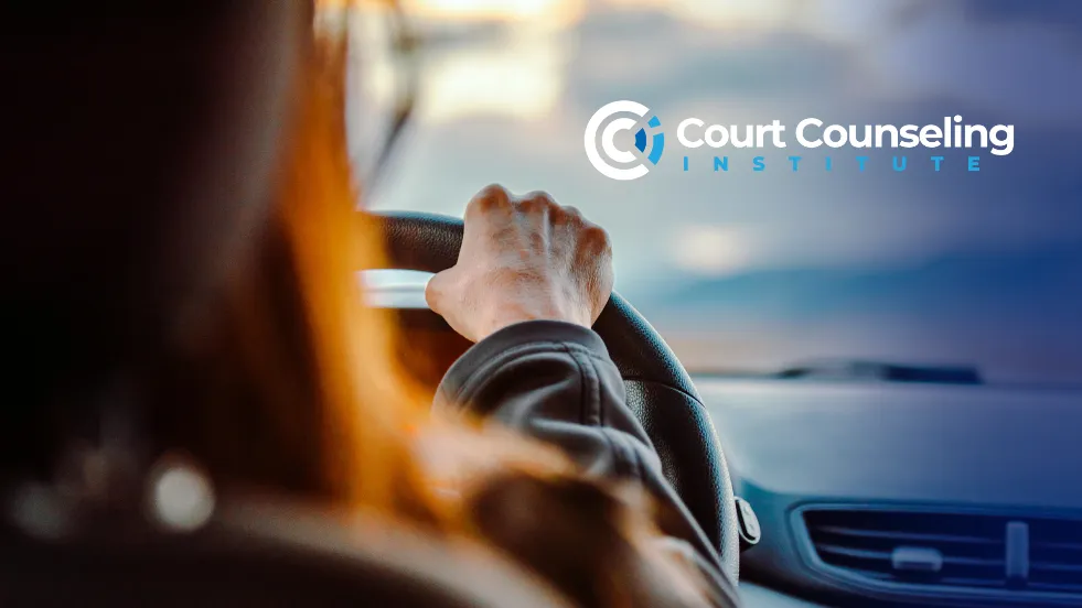 How to Safeguard Your Driving License Record From Road Rage
