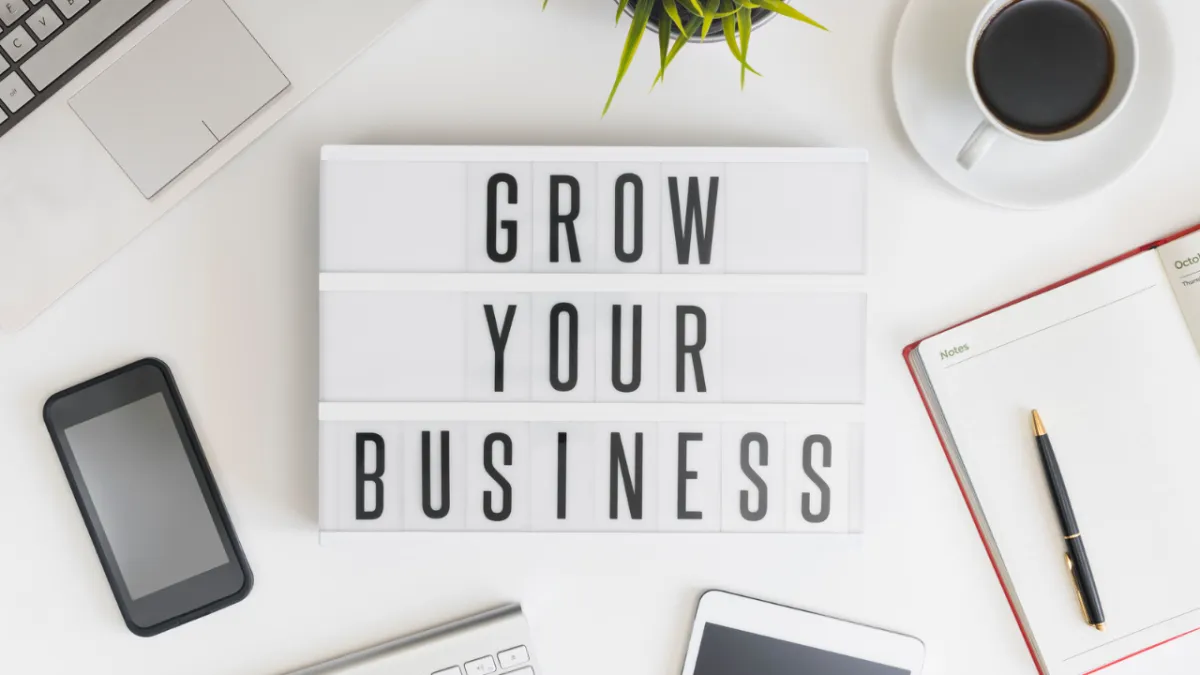 Grow Your Business with a Fractional CLO: Solutions and Insights