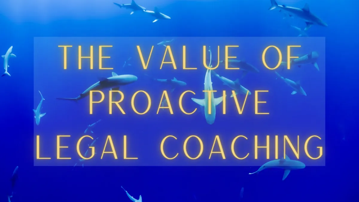 The Value of Proactive Fractional CLO Services for Businesses