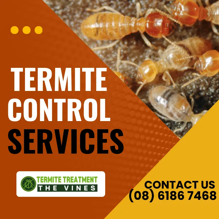 termite-extermination-solutions