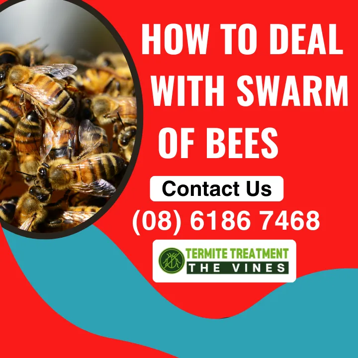 bee-swarm-safety-tips