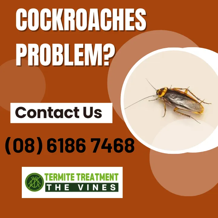 perth-home-invaders-german-roaches