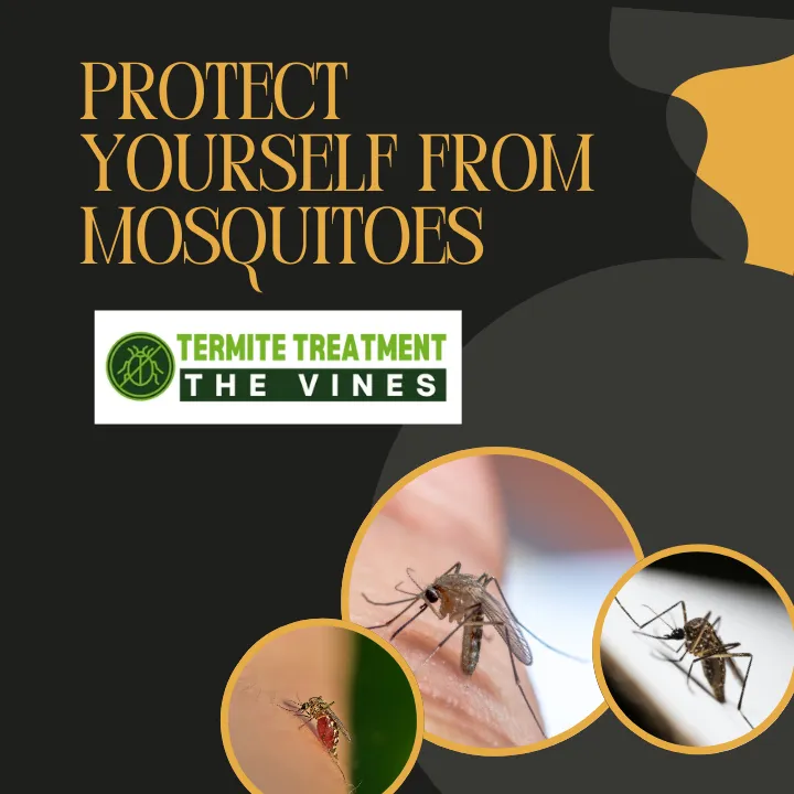 protect-yourself-from-mosquitoes