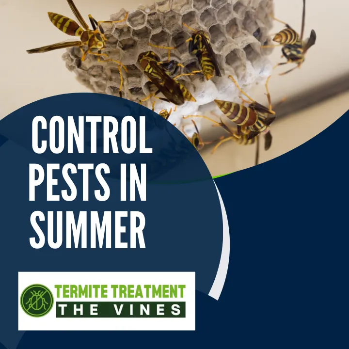 how-to-control-summer-pests