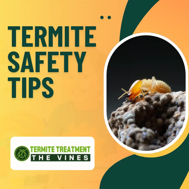 Dealing with termites and understanding key signs, risks, and treatment options.