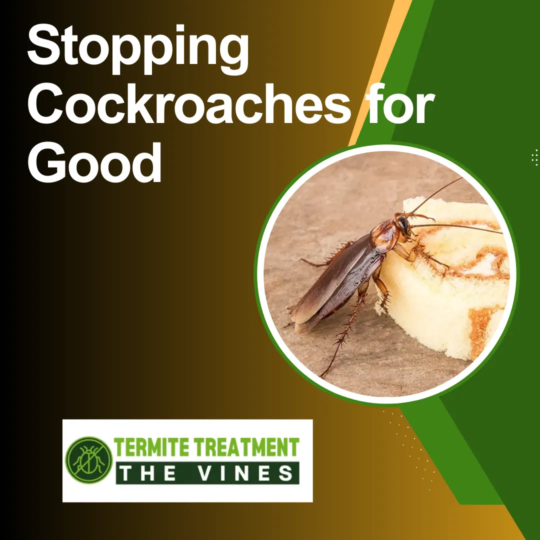 Cockroaches returning to homes despite cleaning and pest control efforts.