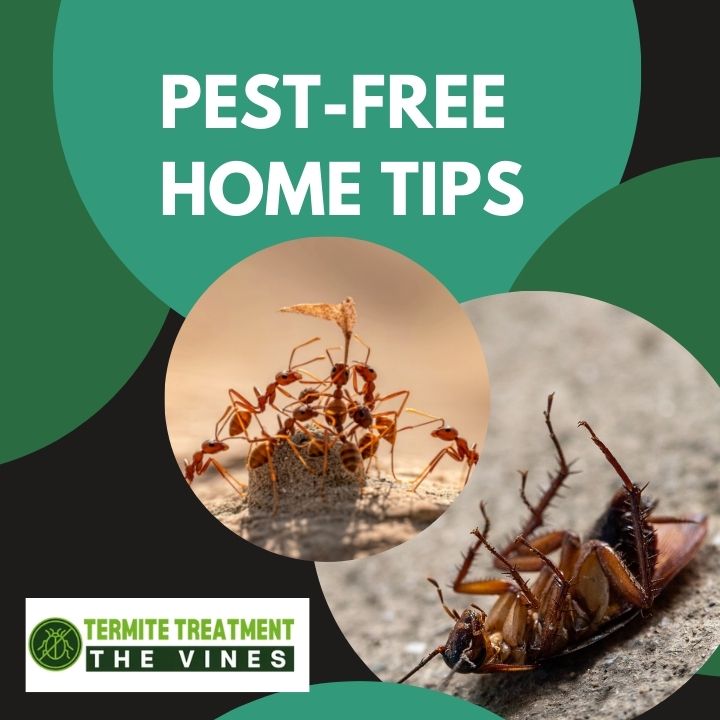 Learn how to keep your house pest-free with simple prevention tips.