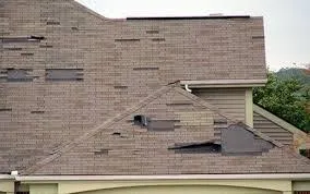 8 Reasons Why Professional Storm Damage Repair Is a Must
