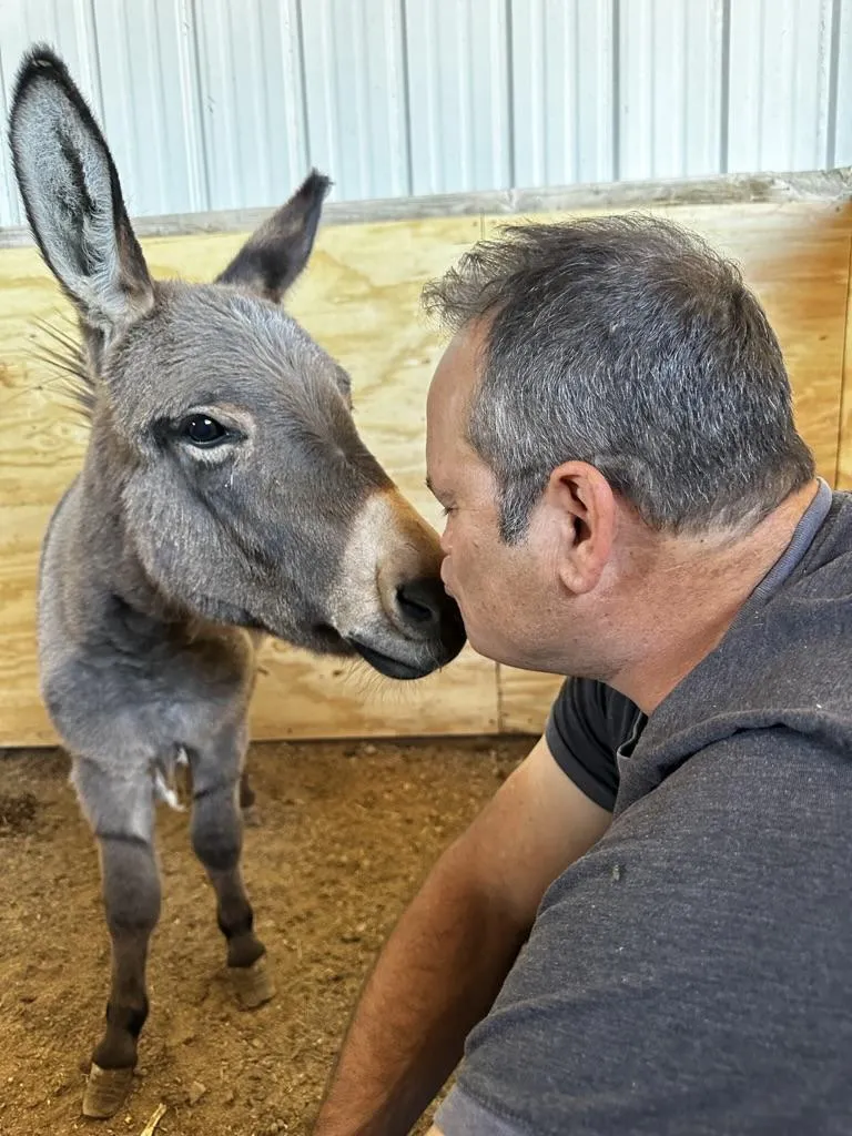 Big Results, Small Hoofbeats: Our Feature in Nspire Today