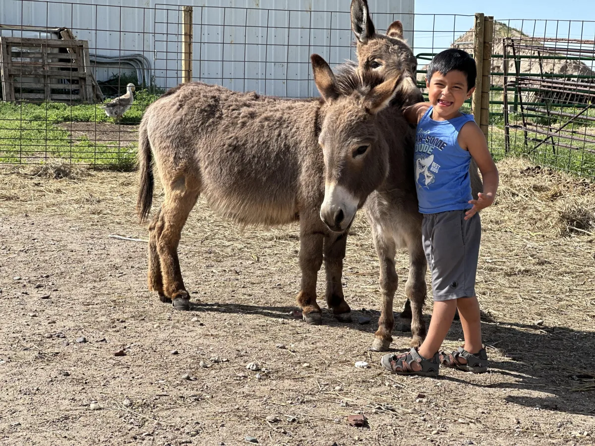 Sun-Telegraph Highlights Our Journey as a Year-Round Haven