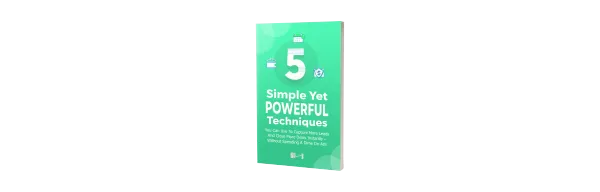 Systomesh - 5 Simple Yet Powerful Techniques You Can Use To Capture More Leads And Close More Deals Instantly – Without Spending A Dime On Ads