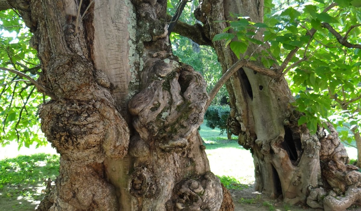 Best Day Trips From Fredericksburg, VA You’ll Want a Rental Car For – PRIME CARZ