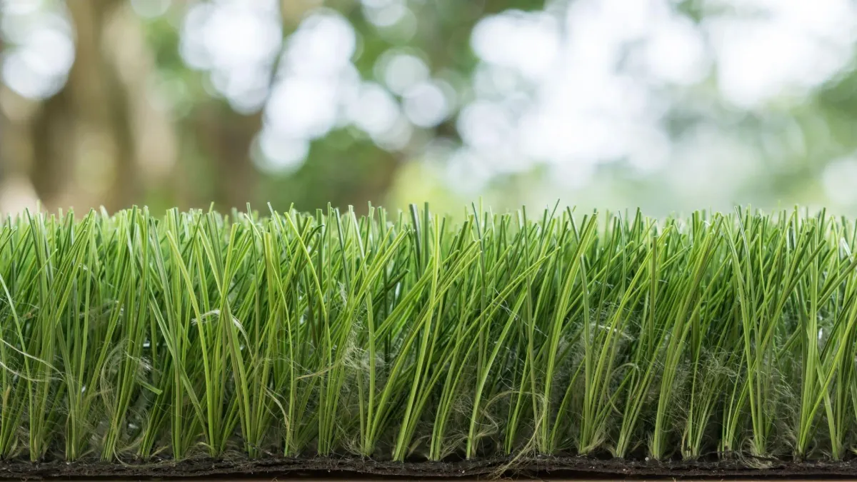 Is Artificial Turf Or Natural Grass Right For You?