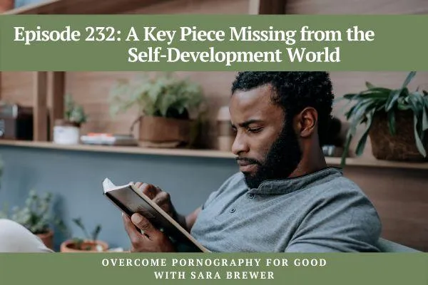 Overcome Pornography for Good with Sara Brewer | Understanding Your Window of Tolerance with Hunter