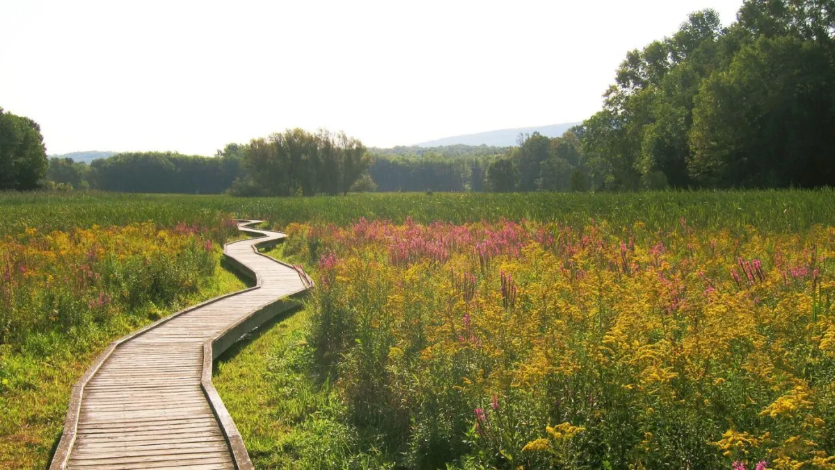 Trail Mix, Mountain Vibes, and Jersey Views: Conquering the Appalachian Trail – New Jersey Style
