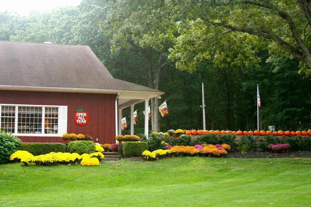 Sweet Pickings & Small-Town Charm at Battleview Orchards in Freehold