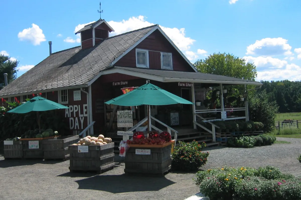 Orchard Adventures Await at Terhune Orchards – Princeton’s Pick-Your-Own Paradise
