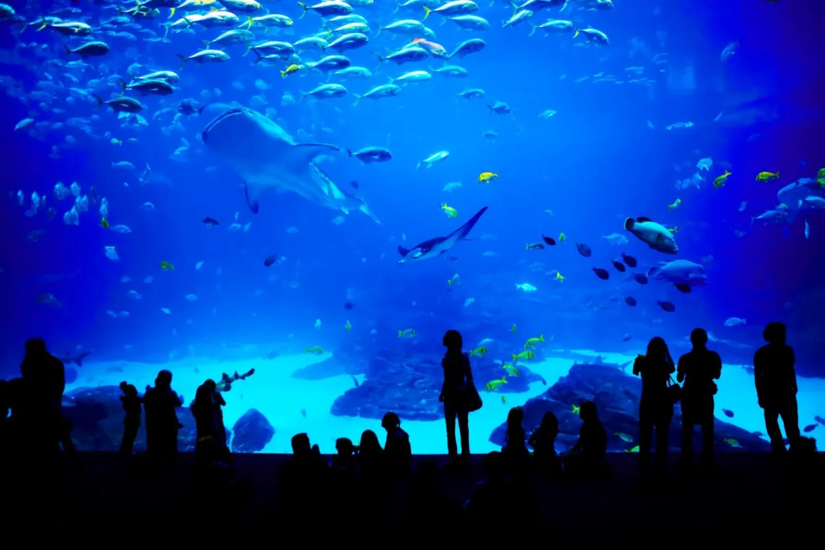 Hippos, Tanks & Waterfront Views: Why Hippo Haven at Adventure Aquarium Is the Wildest Hangout in Jersey