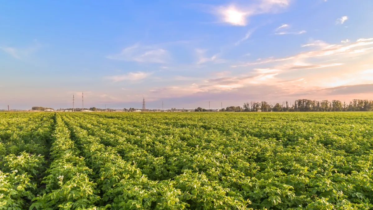 Scenic view of the rolling hills and farmlands of Idaho, highlighting the state's rich agricultural heritage.