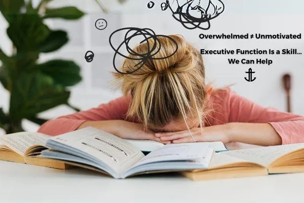 Executive Function: The Missing Skill, Not a Character Flaw