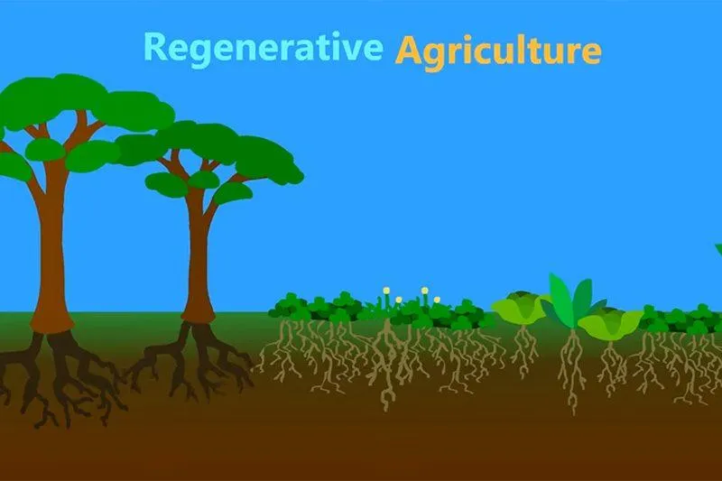What is Regen Agriculture?