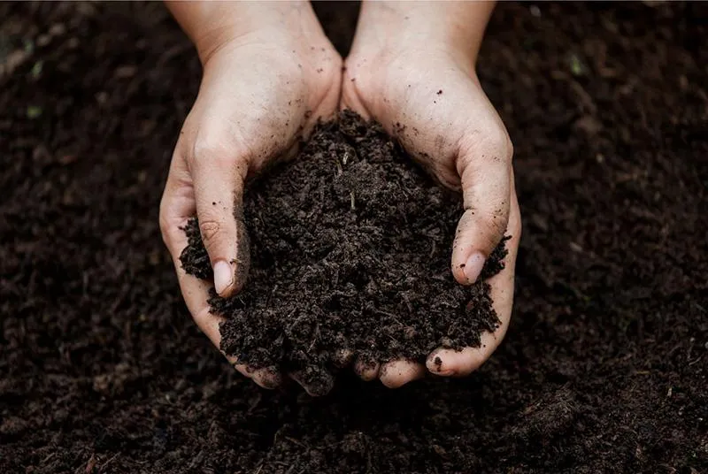 Feeding Your Gardens Microbial Community