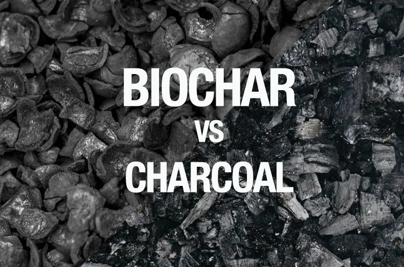 Biochar vs Charcoal