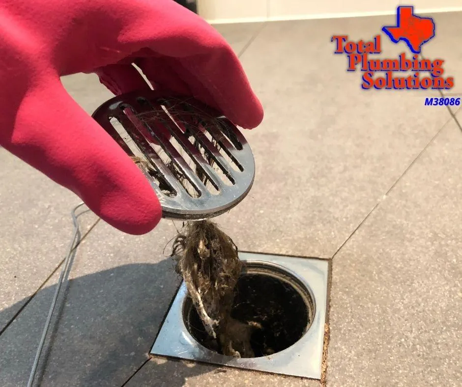 The Complete Guide to Drain Maintenance: Protecting Your Home's Plumbing System