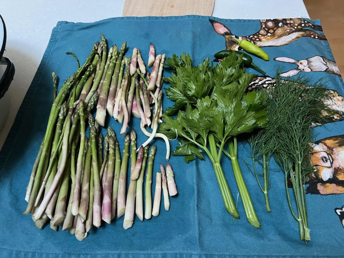 Asparagus, parsley, and peppers from the garden