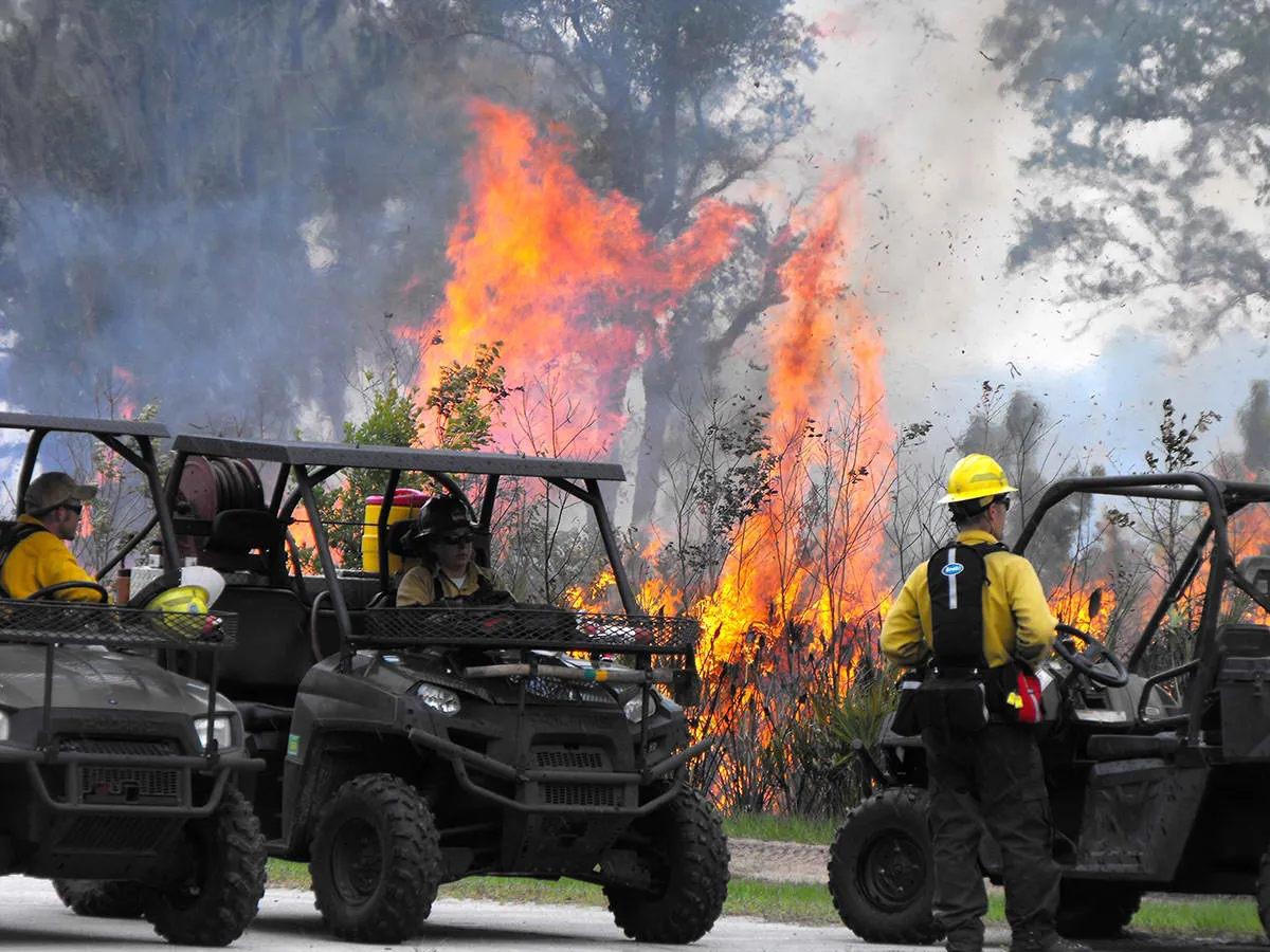 Wildland fire crew using Southern Rough-equipped Polaris UTV fire apparatus with hose reels during active prescribed burn operations