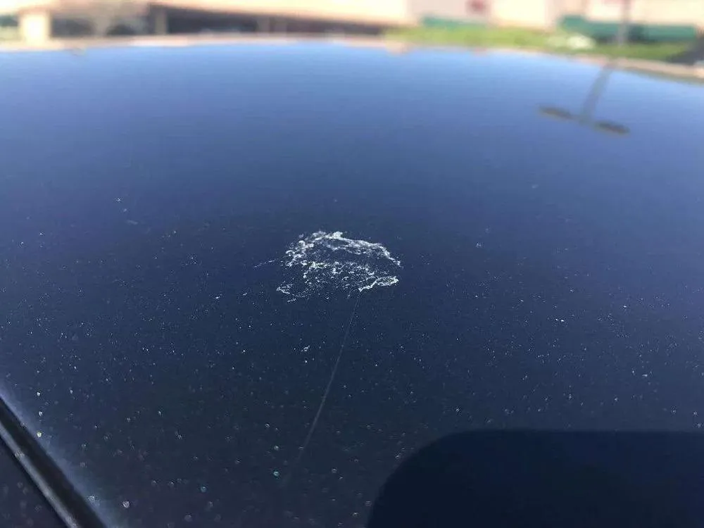 How to Remove Sap from a Car