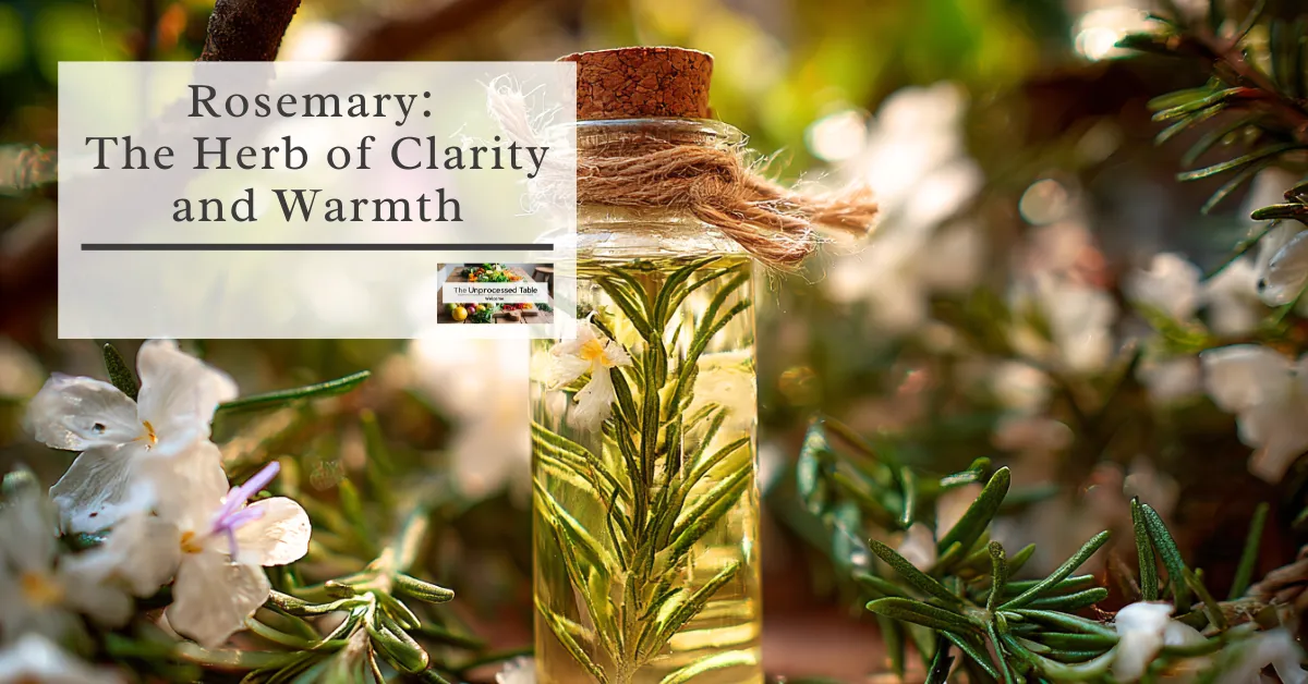 🌿 Rosemary: The Herb of Clarity and Warmth