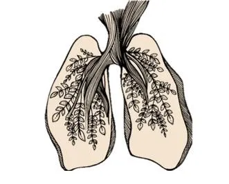 Infection Control