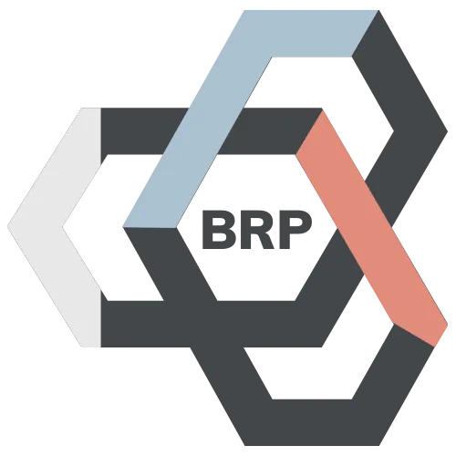BRP The Ripple Effect: How One Small Business Transforms a Local Economy