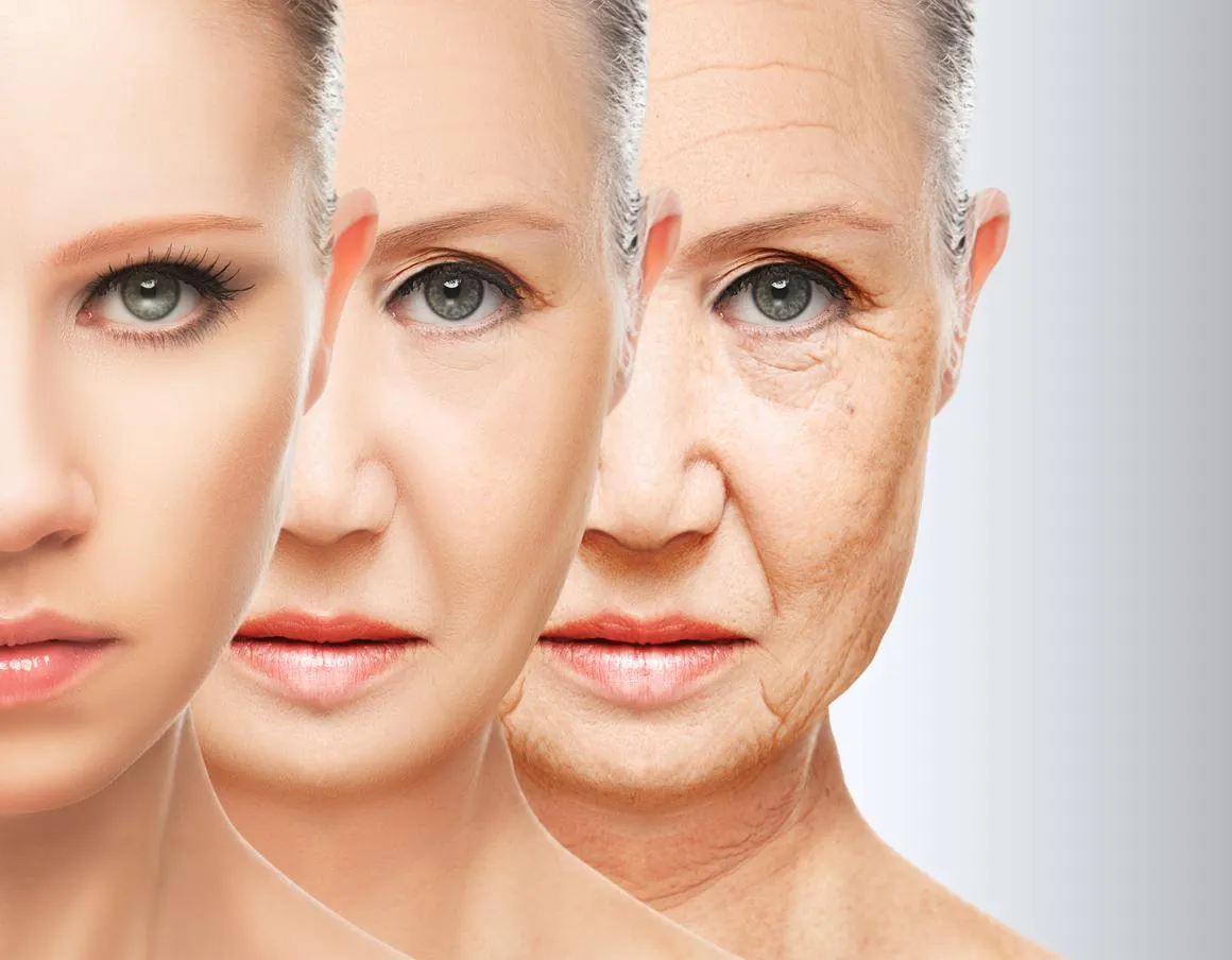 Why Do We Age, and How Can We Slow It Down?