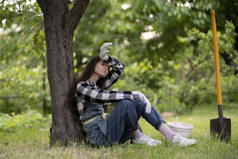 The Silent Impact of Mold and Toxins: How Environmental Stressors Disrupt Hormones and Immunity 