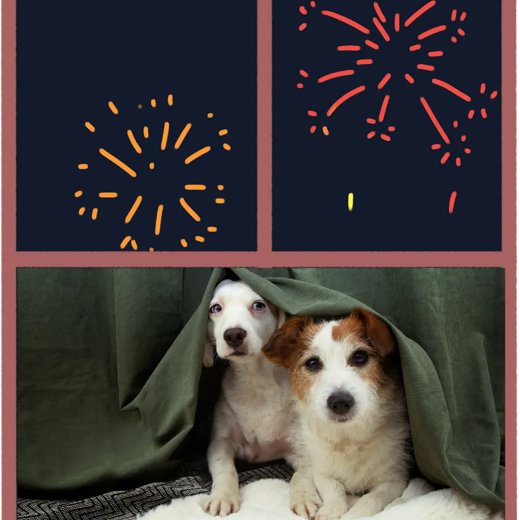 2 dogs hiding under blanket during fireworks