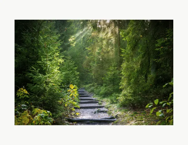 path of change