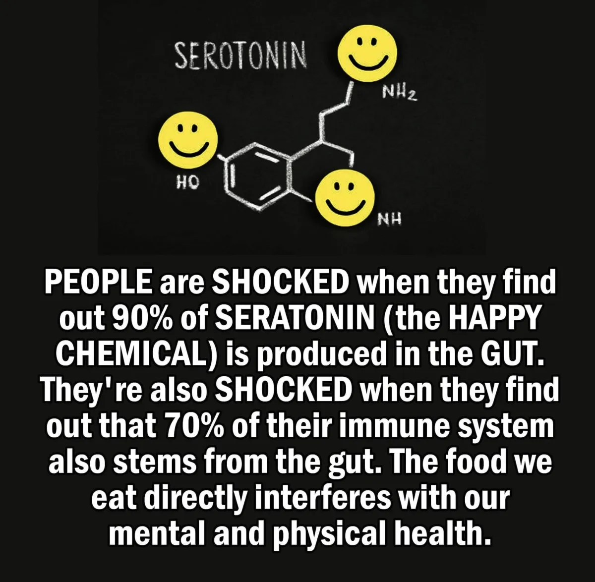 The Gut-Brain Connection | Bio-Hacking Happiness and Immunity