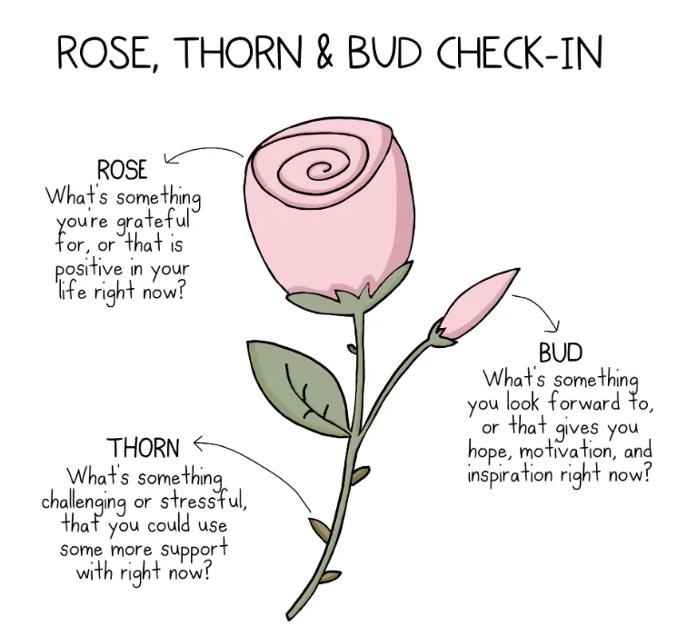 Roses, Buds, and Thorns