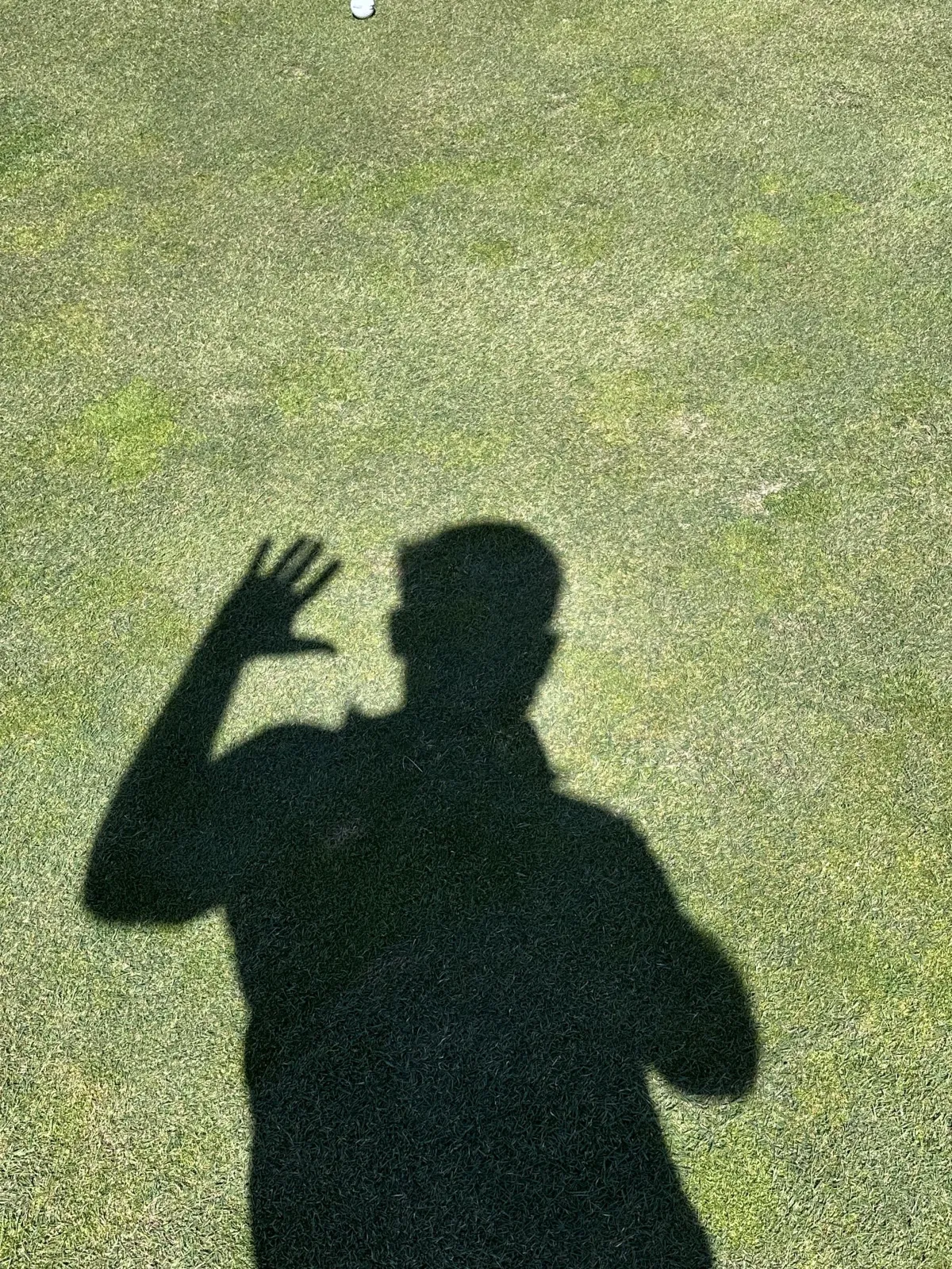 Shadow Wave