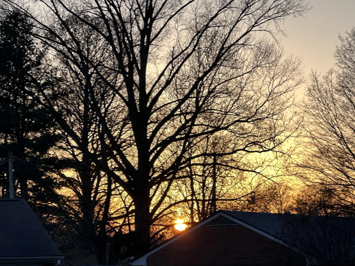 Sunset