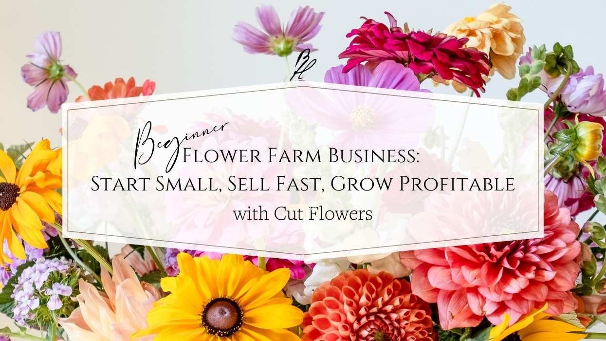 Beginner Flower Farm Business: The Case for Starting Small & Simple