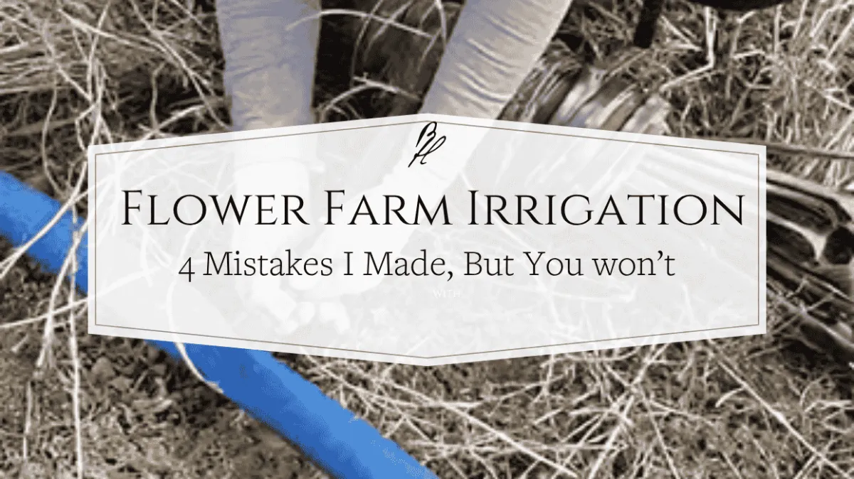 Flower Farm Irrigation 4 Mistakes & 2 Minute Test