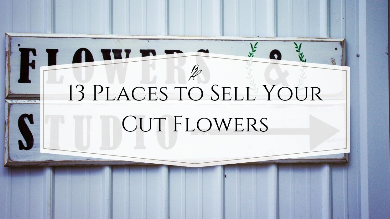 Marketing | 13 Places to Sell Your Cut Flowers