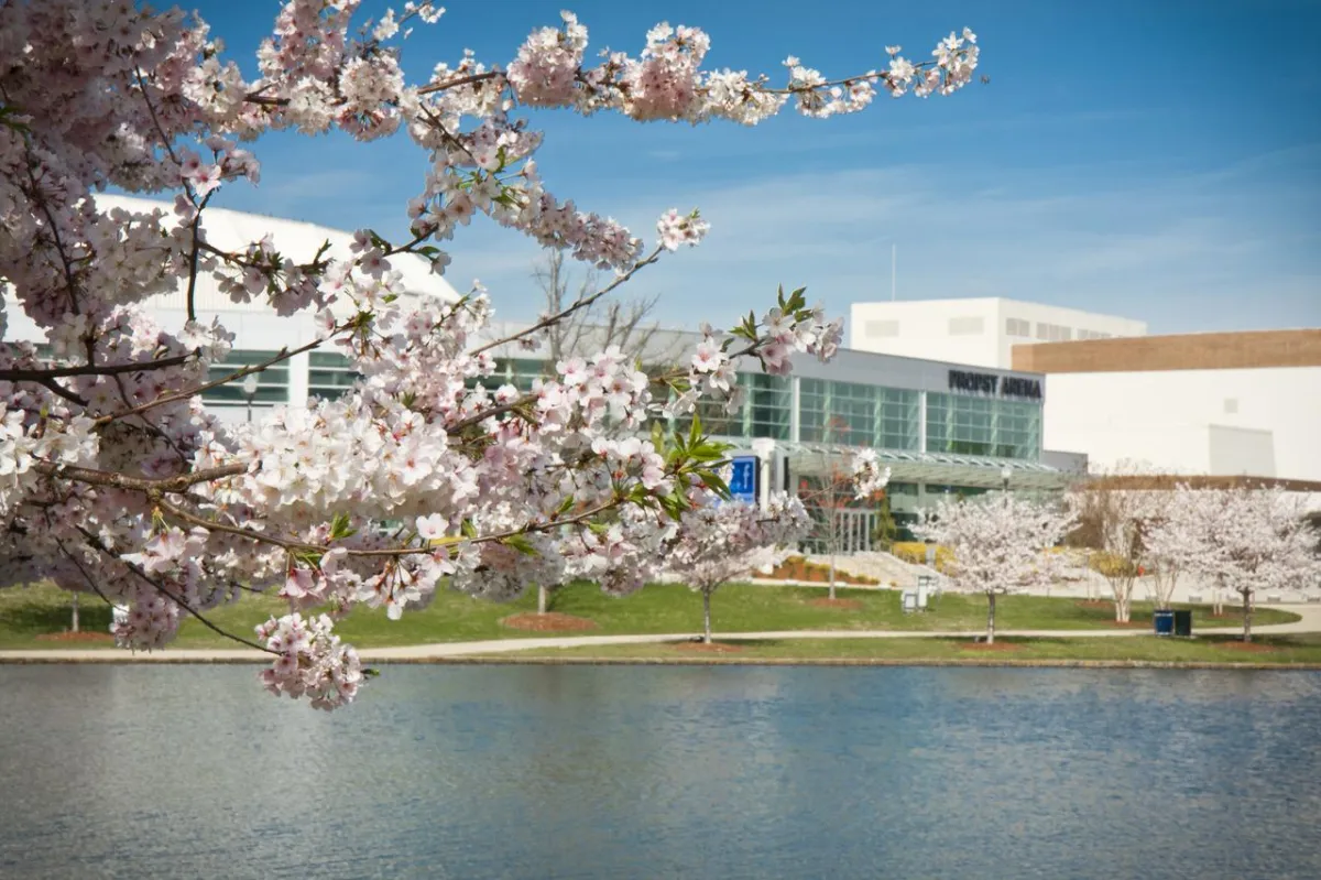 Big Views, Bigger Vibes: Why Big Spring International Park Is the Heart of Huntsville