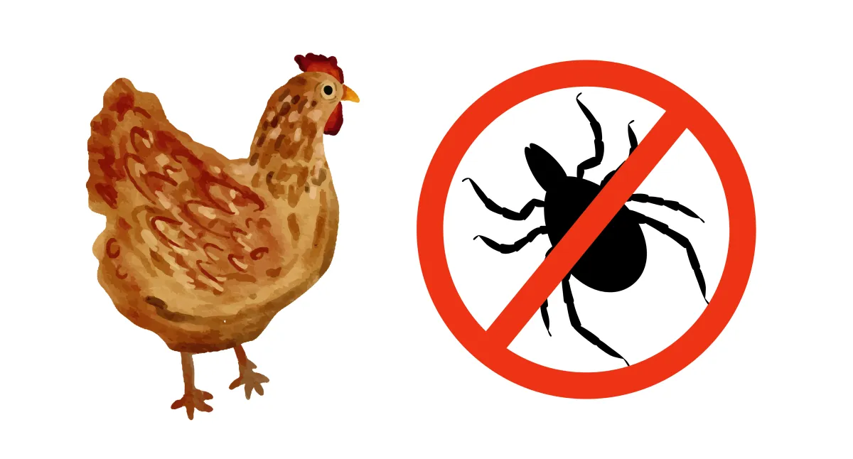 Proactive Poultry: The Strategic Guide to Common Flock Issues