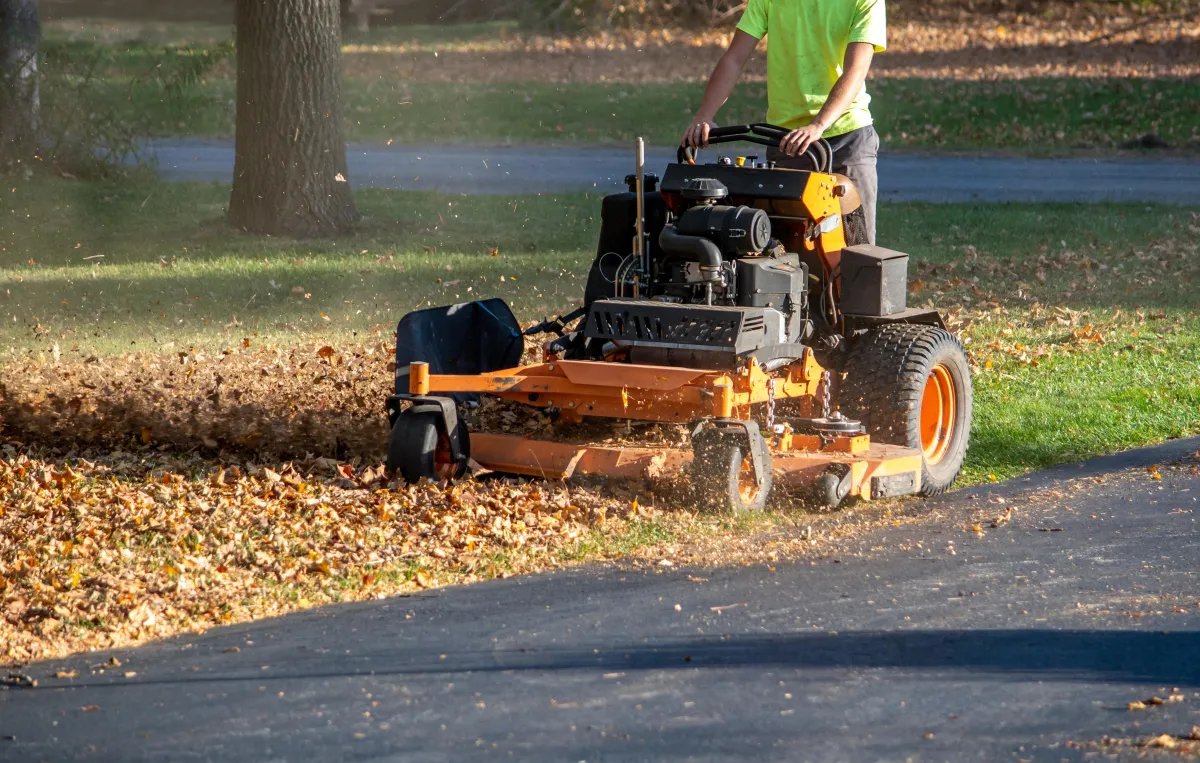 The Benefits of Seasonal Cleanups for the Fall