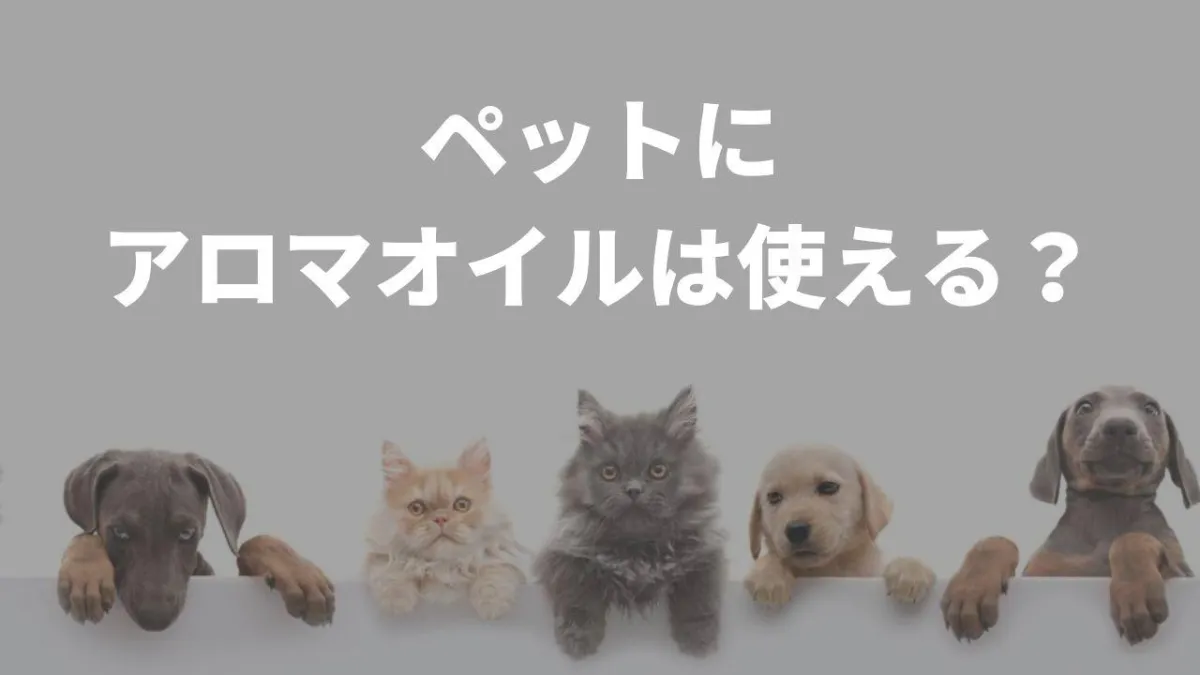 ペットにエッセンシャルオイル（アロマオイル）は使えるの？3つの注意点を紹介